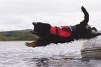 Comfortable and easy to put on to your dog. The Pet Float life jacket for dogs